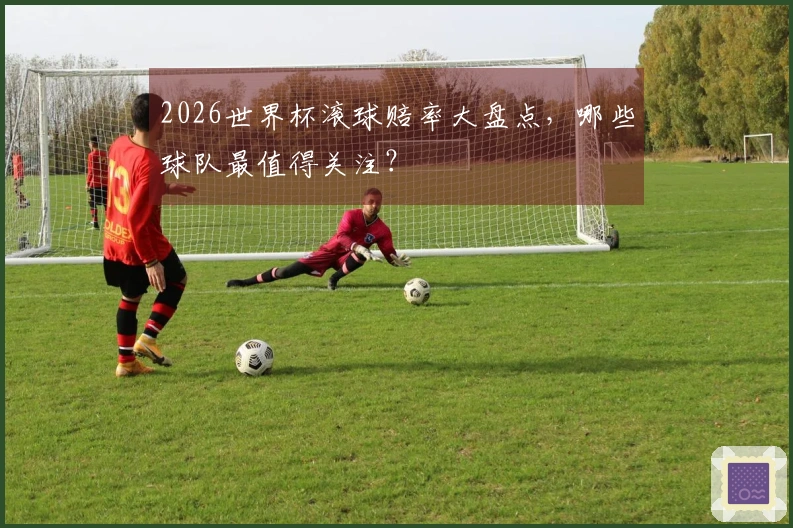 2026世界杯滚球赔率大盘点，哪些球队最值得关注？
