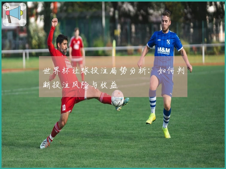 世界杯让球投注局势分析：如何判断投注风险与收益