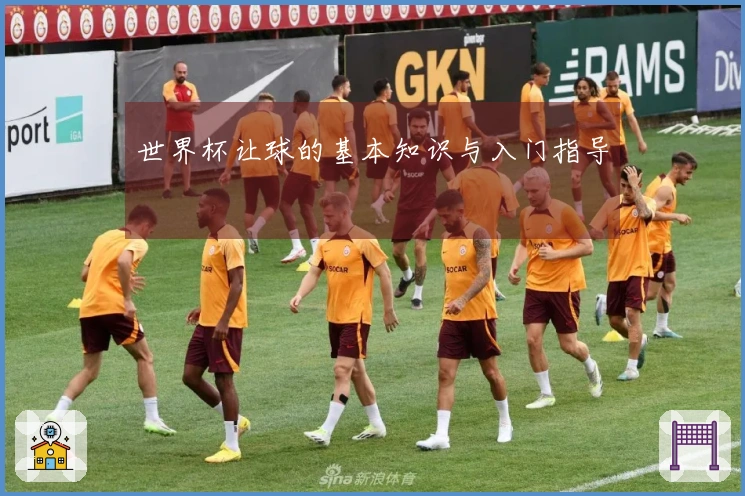世界杯让球的基本知识与入门指导