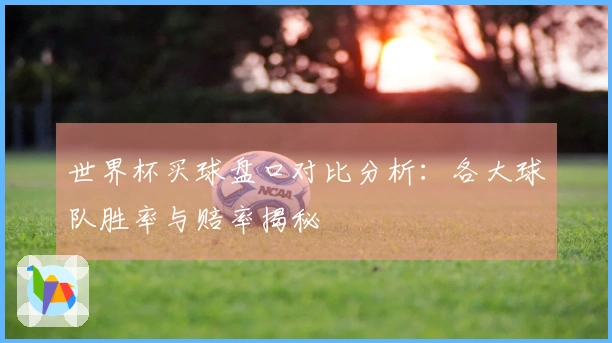 世界杯买球盘口对比分析：各大球队胜率与赔率揭秘