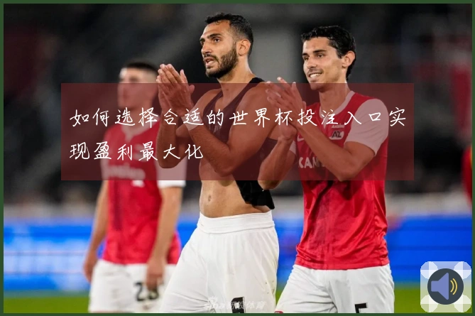 如何选择合适的世界杯投注入口实现盈利最大化