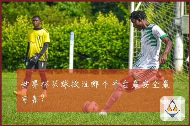 世界杯买球投注哪个平台最安全最可靠？