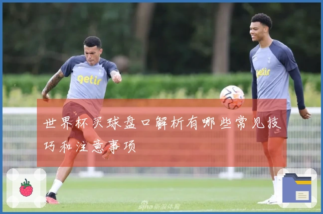 世界杯买球盘口解析有哪些常见技巧和注意事项