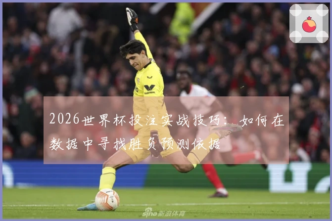 2026世界杯投注实战技巧：如何在数据中寻找胜负预测依据