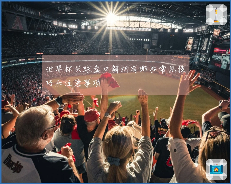 世界杯买球盘口解析有哪些常见技巧和注意事项