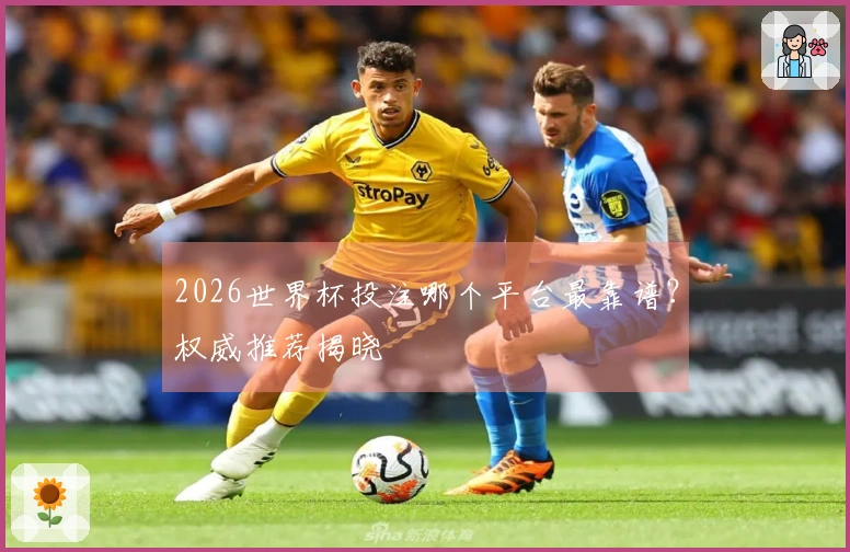2026世界杯投注哪个平台最靠谱？权威推荐揭晓
