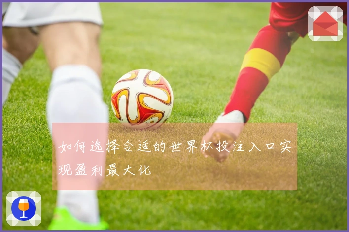 如何选择合适的世界杯投注入口实现盈利最大化