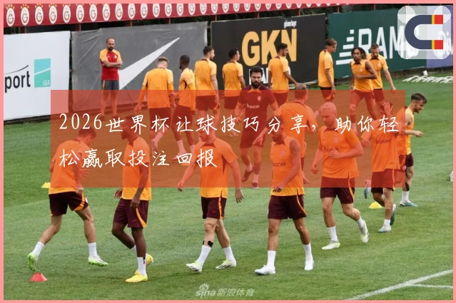 2026世界杯让球技巧分享，助你轻松赢取投注回报