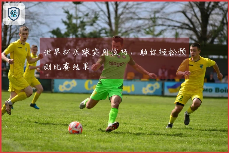 世界杯买球实用技巧，助你轻松预测比赛结果